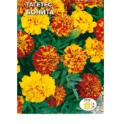 цветок Тагетес Бонита (отклоненный,низкорослый, смесь цветов) (Евро, 0,2)  - фото