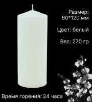 Свеча столбик 60*120 в упаковке, белый (12) 32916 Белый - фото