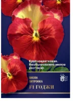 цветок Виола Годжи F1 (вид: Витрокка) (Евро, 5)  - фото