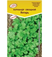 кориандр Янтарь (Евро, 2)  - фото