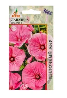 Лаватера Лавлайнс 0,4 гр  - фото