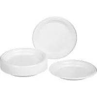 Тарелка 1-секц. белая 1/100 PS Р, арт. 00000012737 Белый - фото