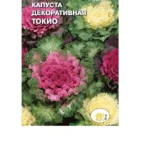 цветок Капуста декоративная Токио смесь (Евро, 0,1)  - фото