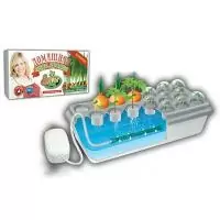 Домашняя чудо-грядка "Здоровья клад"  - фото