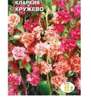 цветок Кларкия Кружево (высокорослая смесь) (Евро, 0,25)  - фото