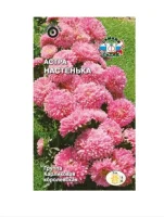 цветок Астра Настенька королевская  (карликовая, нежно-розовая) (Евро, 0,2)  - фото