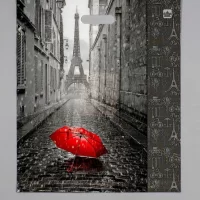 Сумка-пакет 38*47 прорубная ручка ламинат Мой париж  - фото