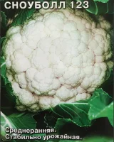ДУ капуста Сноуболл 123 (ЦВ) (Евро, 0,3)  - фото