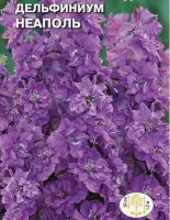 цветок Дельфиниум Неаполь (однолетний, лиловый) (Евро, 0,3)  - фото