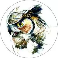 Вышивка крестиком 21x21см "Филин" vc09  - фото