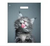 Сумка-пакет 38*47 прорубная ручка ламинат Кот  - фото