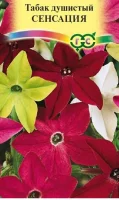 Табак Сенсация, крылатый*, смесь 0,05 г DH  - фото