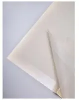 Пленка матовая 58см*58см, 10 листов, кант 13, кремовый Кремовый - фото