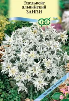 Эдельвейс альпийский Занзи* 0,01 г серия Альпийская горка  - фото