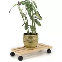 Подставка для цветов на колесиках 22х44 (прямоугольная) Бежевый - фото