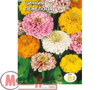 цветок Цинния Санта-Мария (георгиновидная, смесь крупных цветов) (Евро, 0,5)  - фото