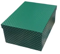 Коробка К567 21*29*11 Зеленый - фото