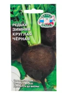 редька Зимняя Круглая Черная (Евро, 2)  - фото
