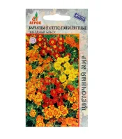Бархатцы Звездный Блеск 0,1 гр.  - фото