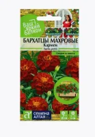 Бархатцы Бонита Кармен 0,3 гр  - фото