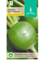 редька Маргеланская (Евро, 1)  - фото