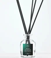 Аромадиффузор AromaWax Абсент из черной смородины 80мл (20)  - фото