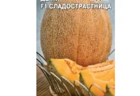 Дыня Сладострастница F1 (евро, 0,2)  - фото