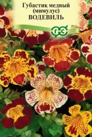 Губастик медный (Мимулюс) Водевиль,* смесь 0,01 г  - фото