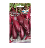 свёкла Матрёна (столовая) (Евро, 3)  - фото