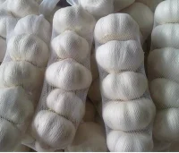 Экструзионная сетка-рукав Х-NET РА (чесночная) 1000м/рол белая Белый - фото