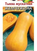 тыква Жемчужина(мускатная) (Евро, 1)  - фото