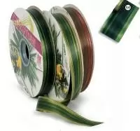 Аспидистра CORDY LINE 20*100м 56252021054 54/PINO  - фото