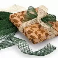 Лента п/э из джута DECO JUTE nastro tess. mm 50x40m in T.R. 40065020443 PINO Зеленый - фото