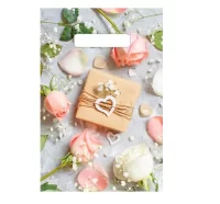 ТЦ100штСумка-пакет 20*30 прор.ручкой Подарочек 1/100  - фото