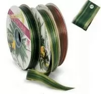 Аспидистра CORDY LINE 20*100м 56252021053 53/MUSCHIO  - фото