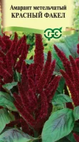 Амарант Красный факел (метельчатый)* 0,2 г  - фото