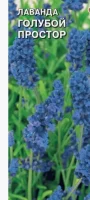 цветок Лаванда Голубой Простор (английская) (Евро, 0,05)  - фото