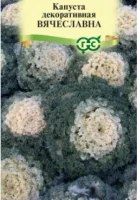 Капуста декоративная Вячеславна* 0,05 г (воронежская белая) DH  - фото