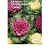 цветок Капуста декоративная Токио смесь (Евро, 0,1)  - фото