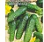 Огурец Нежинский (0,5 г) (МФ, 0,5)  - фото