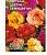 цветок Портулак Цветик-семицветик (крупноцветковый, махровый, смесь) (Евро, 0,1)  - фото