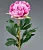 Цветок искусственный декоративный "Пион" 95*19см, 1шт, св.розовый  - фото