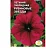 цветок Петуния Рубиновые звезды F1 (низк.,крупноцв. т-пурпур.-красная) (Евро, 10)  - фото
