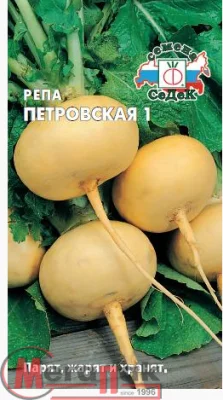 репа Петровская 1 (Евро, 1)  - фото