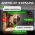 Гель для чистки кухонных плит "Synergetic" 1,0л, арт. 106100  - фото